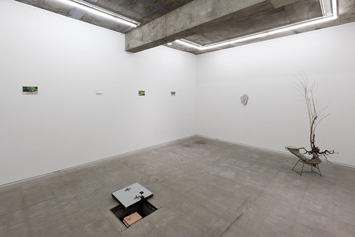 グループ展 血は水よりも濃い、何も分かってないのかもしれないから…/TALION GALLERY