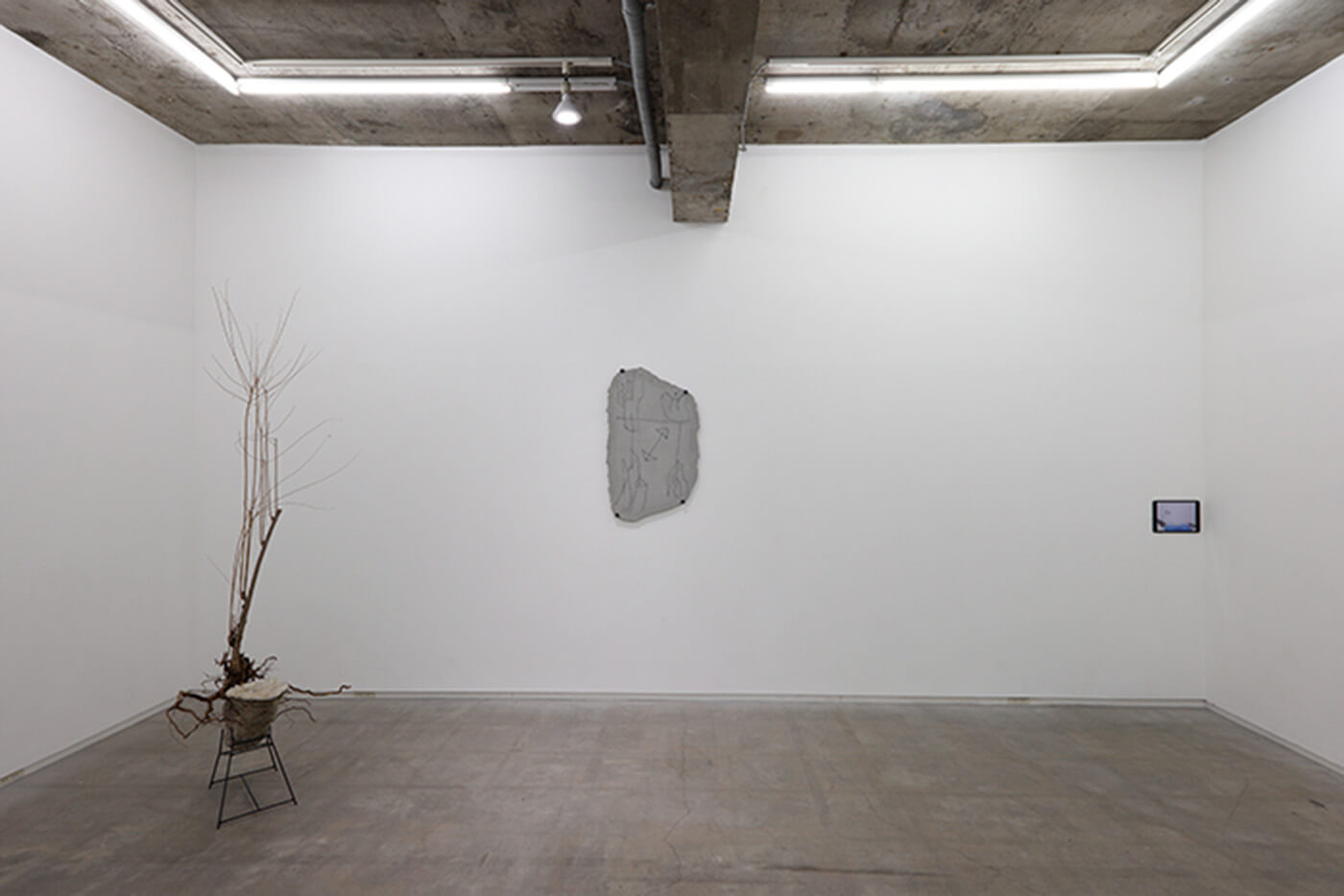 グループ展 血は水よりも濃い、何も分かってないのかもしれないから…/TALION GALLERY